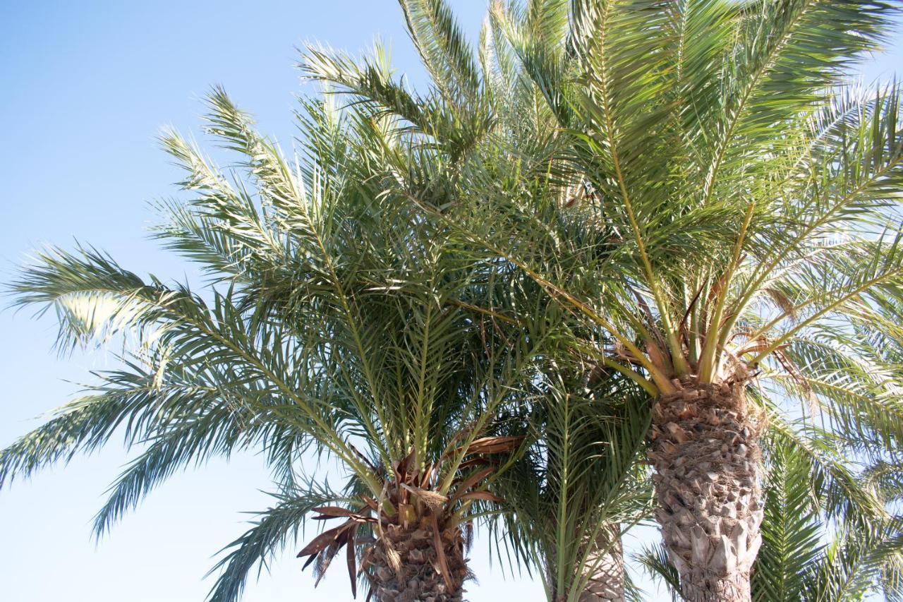 Rafaello Apartment ,,La Zona Cabo Roig, Area Cabo Roig" Orihuela Kültér fotó